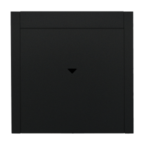 Black Onyx