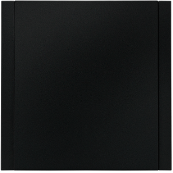 Black Onyx