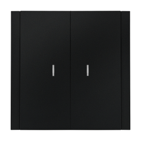 Black Onyx